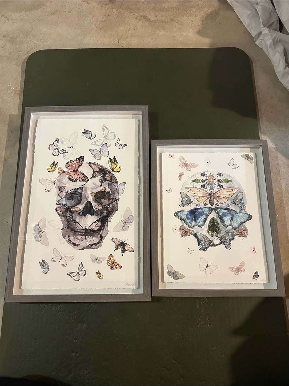 Butterfly Skull Art Prints in Gray Frames